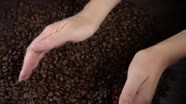 Eine Frauenhand mischt Kaffeebohnen. Röstkaffee als Hintergrund. Kaffeekörner als Textur — Stockvideo