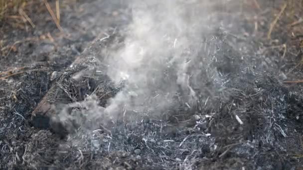 Tjock rök som stiger upp ur askan från en bränd brasa — Stockvideo