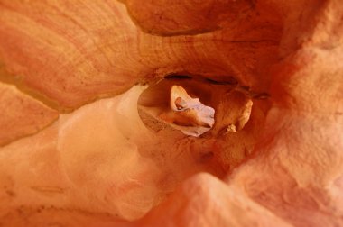 Kırmızı kayalarda mağara