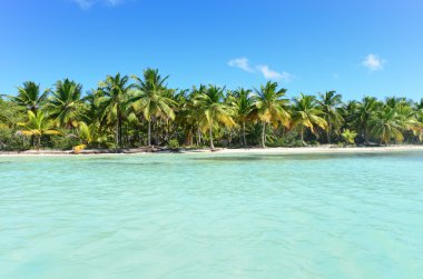 Avuç içi ile Sahil