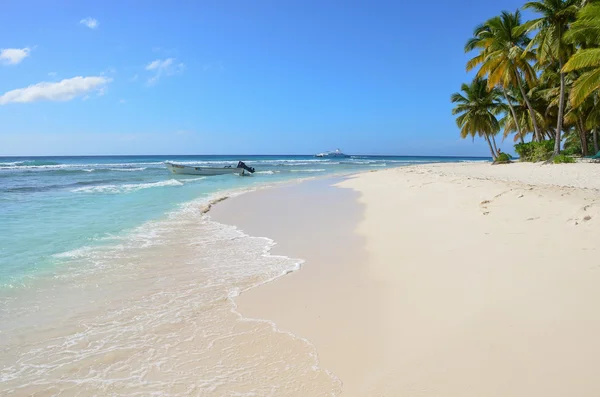 Beach with palm trees — Stock Photo, Image