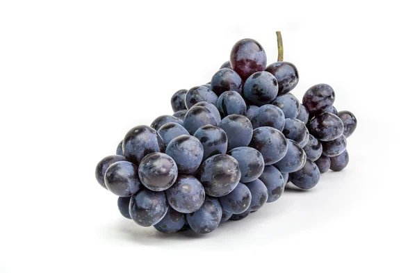 Branch of black grapes — Stock Photo, Image