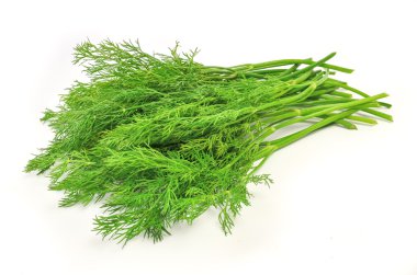 Dill beyaz üzerine izole