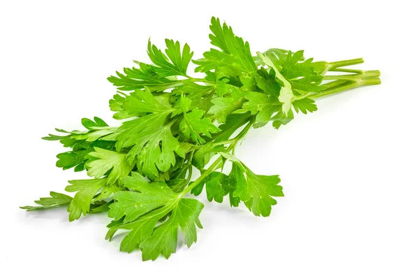 Folhas verdes de salsa isoladas sobre fundo branco — Fotografia de Stock