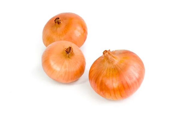 Ripe onion on a white background — Stock Photo, Image