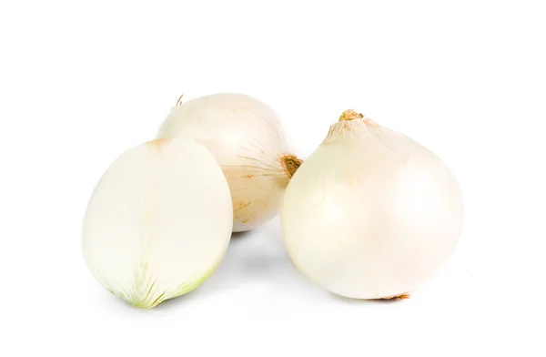 Cebolla blanca sobre fondo blanco — Foto de Stock