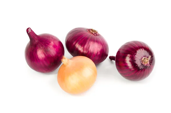 Red and orange onion bulb isolated on white background cutout — Stock Photo, Image