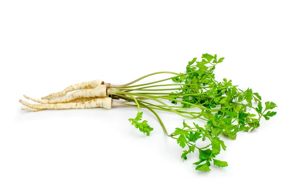 Frische Petersilie mit Wurzelblatt auf weißem Hintergrund — Stockfoto