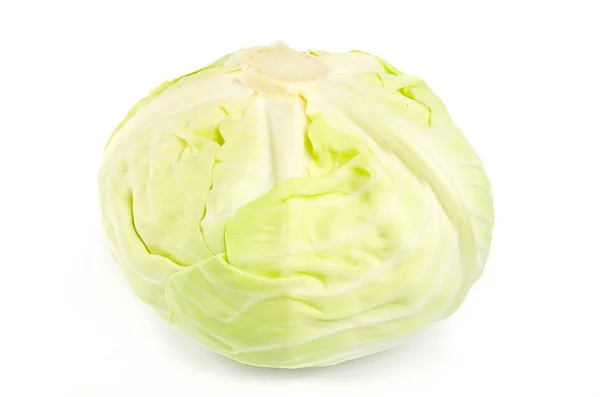 Whole cabbage on white background — Stock Photo, Image