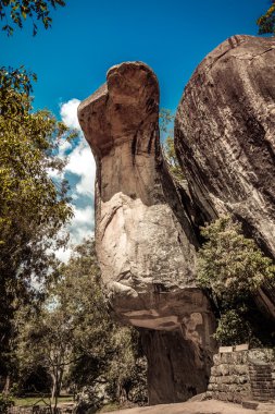 Sigiriya park bir Kobra gibi rock