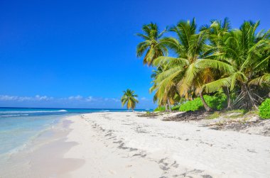 Dominik Cumhuriyeti ülkesindeki tropik ada