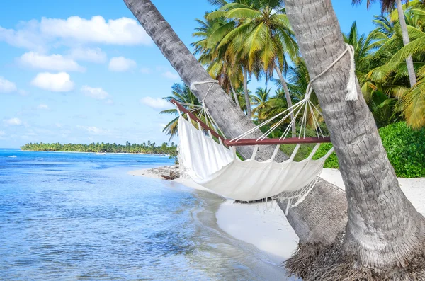 Rede vazia entre palmeiras na praia tropical — Fotografia de Stock
