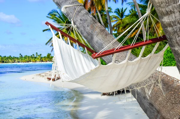 Spiaggia idilliaca con alberi di cocco e amaca nella Repubblica Dominicana — Foto Stock
