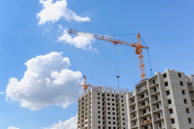 Mavi gökyüzü arka plan üzerinde uzun boylu Vinçler