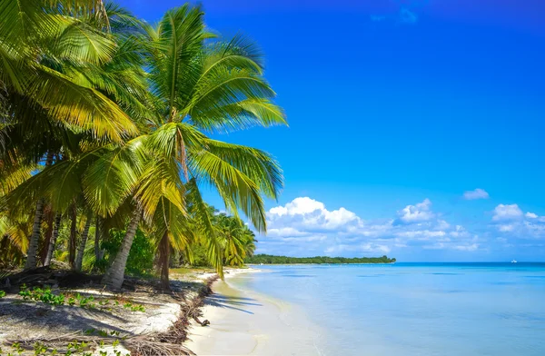 Praia na ilha tropical — Fotografia de Stock