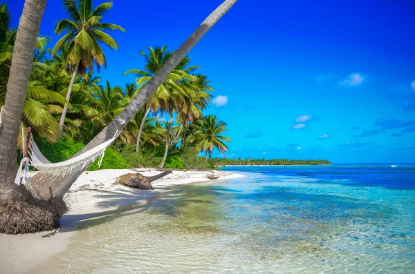 Tropical Paradise - Hammock between palm trees at the seaside on a tropical island — Stock Photo, Image