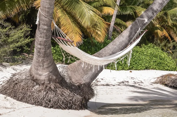 Hammock in the tropics — Stock Photo, Image