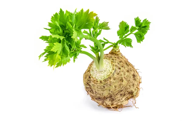 Fresh celery with root leaf on white background — Stock Photo, Image