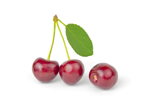 Cherry geïsoleerd op een witte knipsel — Stockfoto