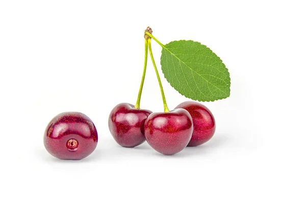 Sappige cherry bij blad — Stockfoto