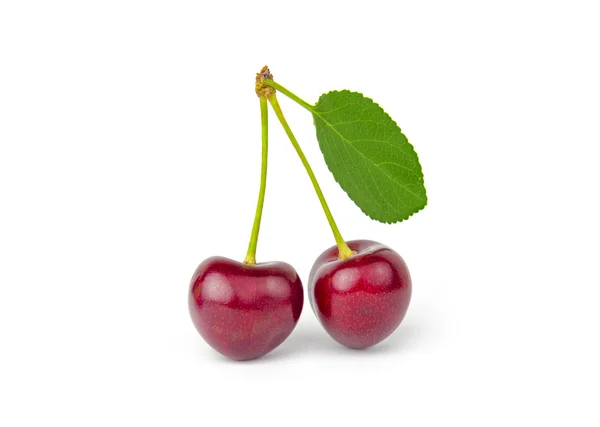 Cherry izolované na bílém pozadí — Stock fotografie