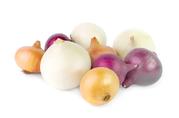 Colorful onion on a white background — Stock Photo, Image