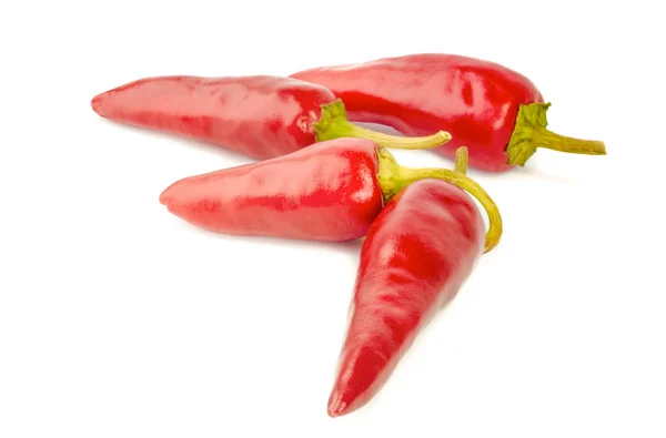 Csípős piros chili paprika elszigetelt — Stock Fotó