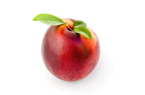 Nectarine met bladeren geïsoleerd — Stockfoto