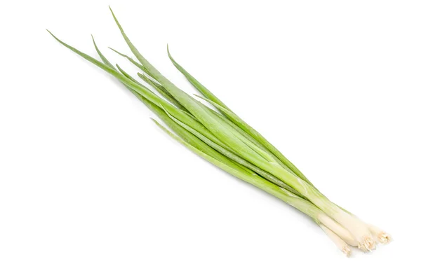 Cebolla verde aislada en el fondo blanco — Foto de Stock