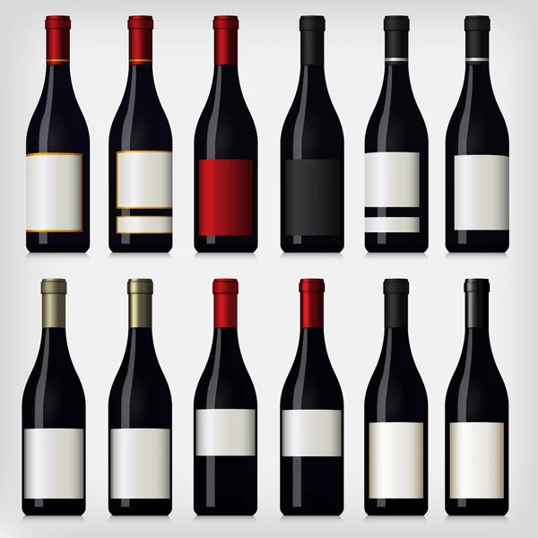 Collection of Red Wine Bottles — Stock Vector