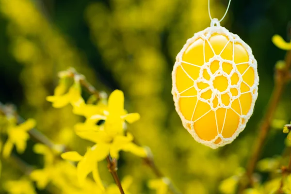 Beautiful Easter eggs hanging from a blooming Forsythia — Stock Photo, Image