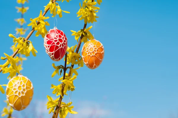 Прекрасні великодні яйця, що звисають з квітучої Форсайї — стокове фото