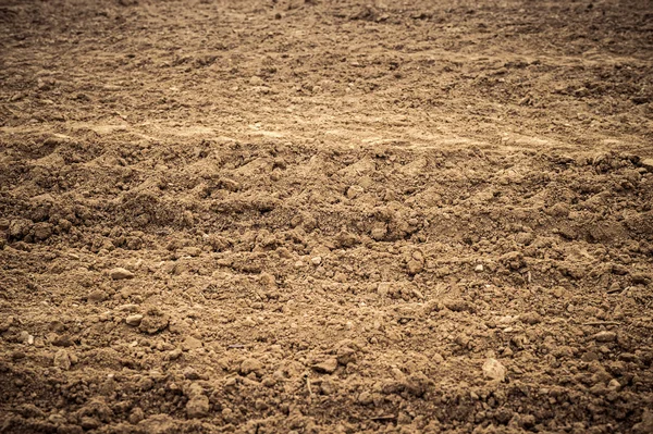 Ploughed field, soil close up, agricultural background — Stock Photo, Image