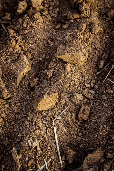 Ploughed field, soil close up, agricultural background — Stock Photo, Image