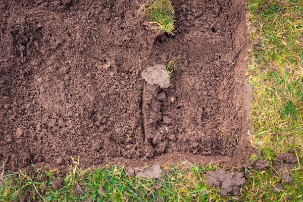 Lawn digging, gardening and landscaping concept — Stock Photo, Image