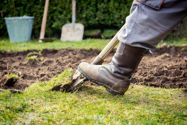 Man using spade for old lawn digging — Stock Photo, Image