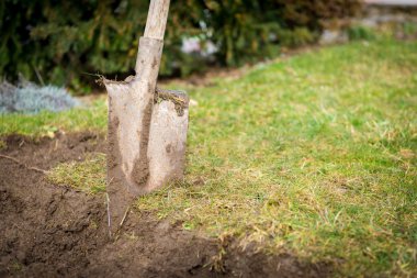 Kazma, çim Bahçe kavramı