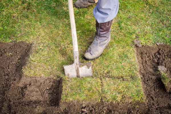 Férfi használ ásó régi pázsit ásás — Stock Fotó