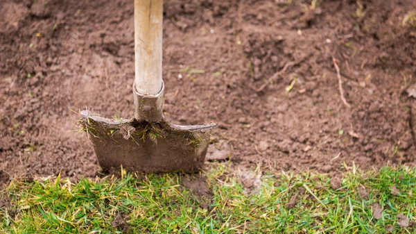 Escavagem de relva, conceito de jardinagem — Fotografia de Stock