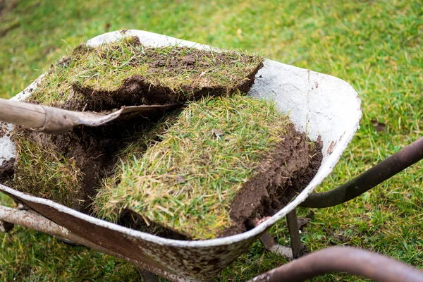 Schubkarre voll mit altem Rasen — Stockfoto