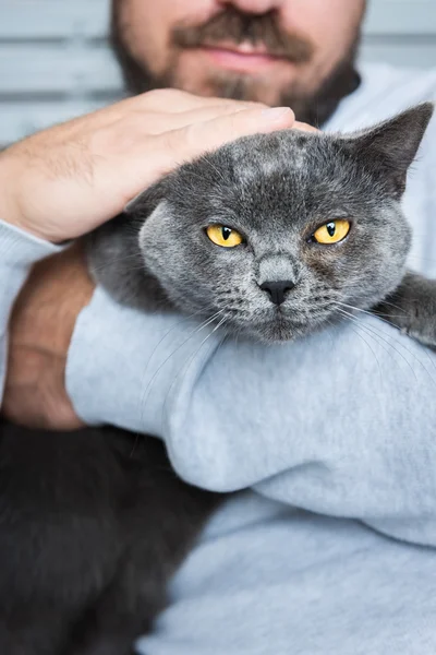 Uomo seduto su una poltrona, tenendo il suo splendido gatto domestico — Foto Stock