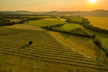 Saman üretimi için taze kesilmiş çimen tarlaları. Slovakya 'da ekilmiş bir tarım arazisinin havadan görünüşü. 