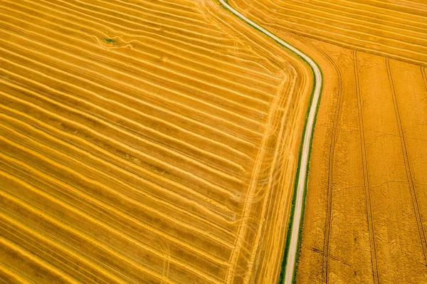 Vista Aérea Campo Trigo Recém Colhido Beleza Padrões Uma Terra — Fotografia de Stock