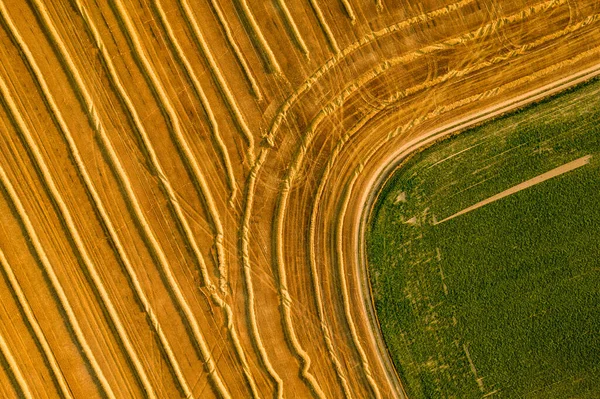 Aerial View Freshly Harvested Wheat Field Beauty Patterns Cultivated Farmland — Stock Photo, Image