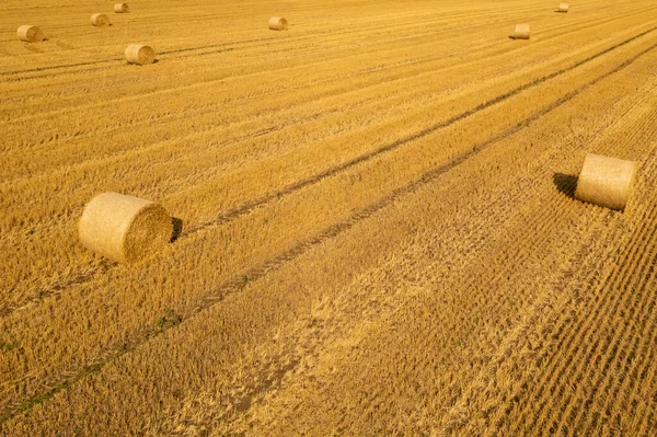 Agricultural Field Straw Bales Top View Landscape Hay Rolls Autumn — Stock Photo, Image