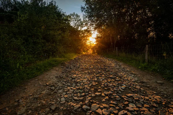 Kır Yolu Altın Güneş Işığıyla Kaplı Kırsal Alan Gün Batımında — Stok fotoğraf