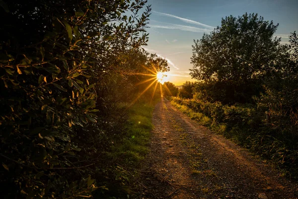 Kır Yolu Altın Güneş Işığıyla Kaplı Kırsal Alan Gün Batımında — Stok fotoğraf