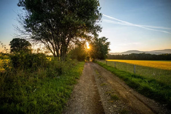 Ländliche Landschaft Mit Landstraße Die Von Goldenem Sonnenlicht Bedeckt Ist — Stockfoto