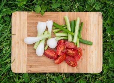 Taze yeşil soğan ve domates üzerinde eski ahşap kesme tahtası, closeup gıda, açık havada vurdu