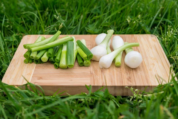 Cebolas verdes frescas na velha tábua de corte de madeira, comida close-up, tiro ao ar livre — Fotografia de Stock